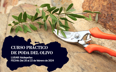 Curso práctico de poda del olivo